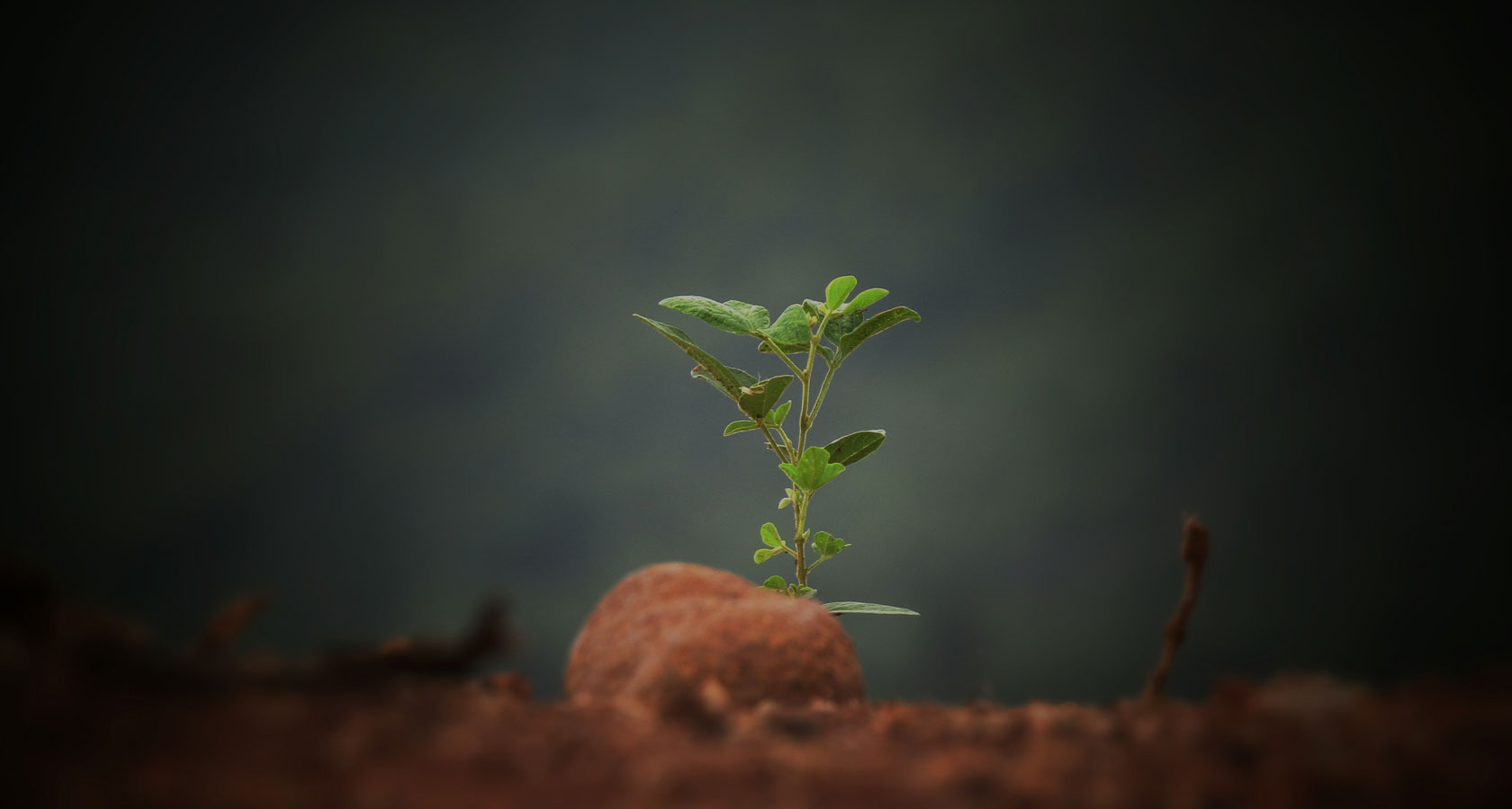 3118云顶集团·(中国区)官方网站